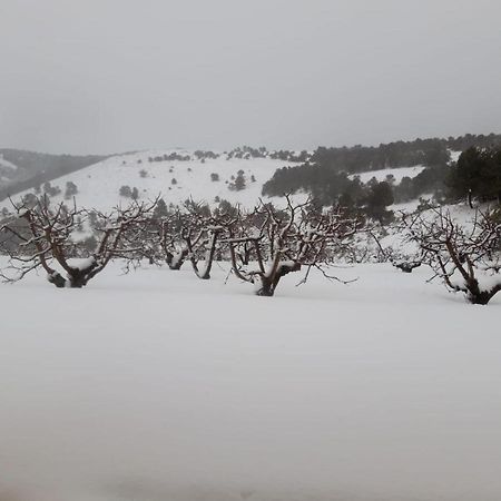 Finca La Foia El Pou Confrides Kültér fotó